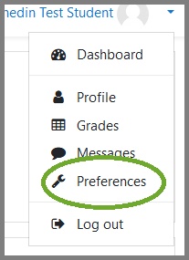Mu-Moodle preferences.jpg
