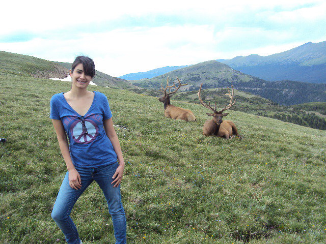 File:Alma.jpeg