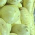 WEIcon05.jpg