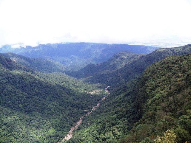 Megha2.jpg
