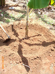 File:00005a.jpg