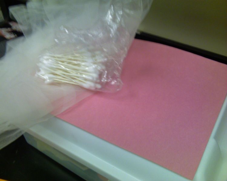 File:MaterialsForSkeletalAndMuscularSystem.jpg