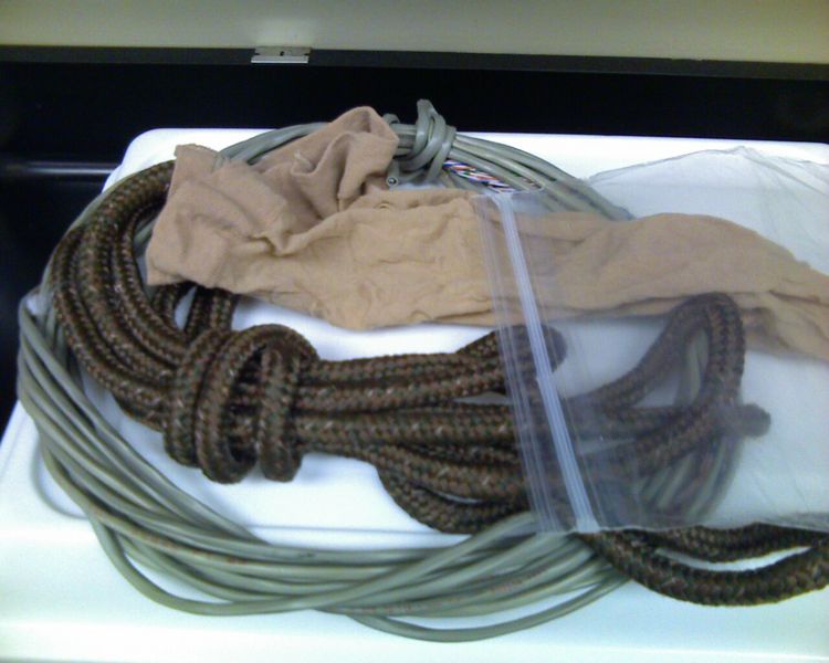 File:MaterialsForDigestiveSystem.jpg