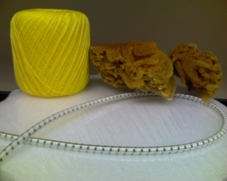 File:MaterialsForNervousSystem.jpg