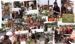 Photos clicked by me at the Meet