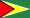 Flag of Guyana