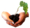 L4C-small 1.png
