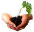 L4C-small 1.png