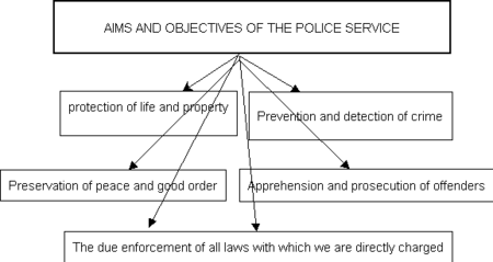 ORGANOGRAM2.png
