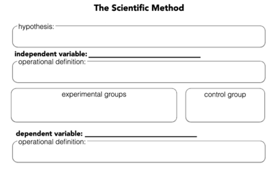 ScientificMethodImage.png