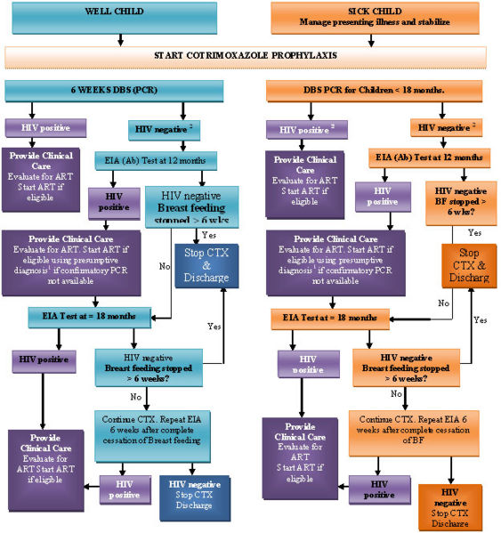 File:Algorithmforhiv.jpg