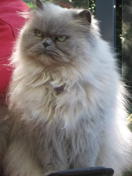 File:Wikiphoto1.jpeg