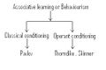 Thumbnail for version as of 07:49, 26 February 2011