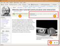 Thumbnail for version as of 19:26, 14 February 2007