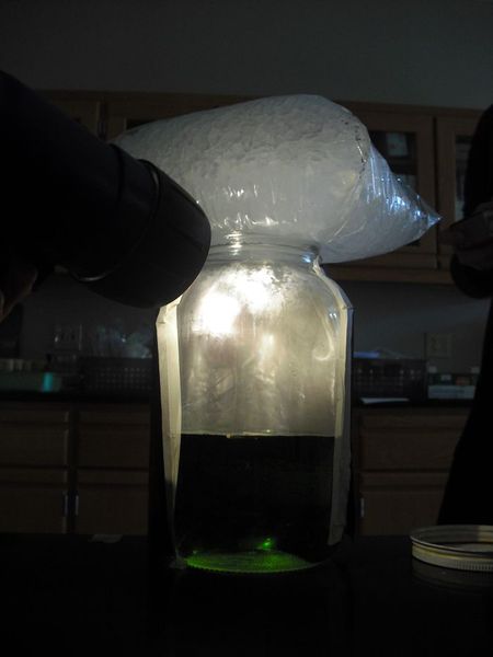 File:ELEMENBIO2.jpg
