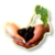 L4C.png