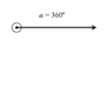Anguloperigonal.png