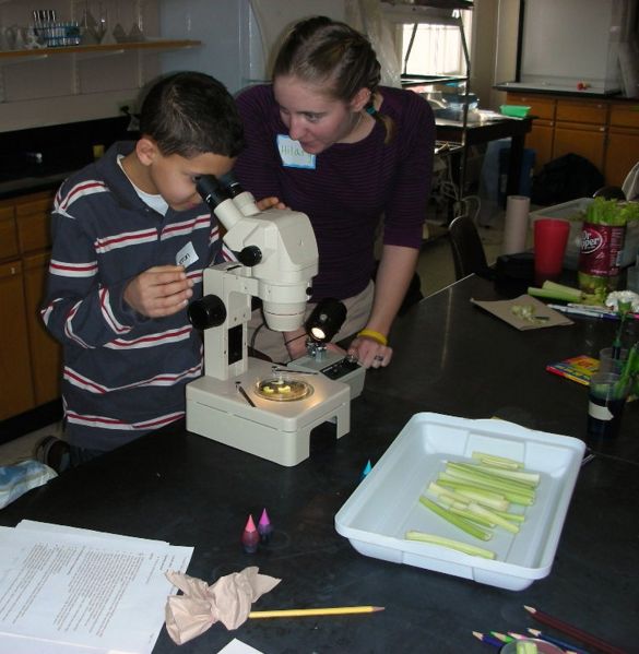 File:Usingmicroscope.jpg