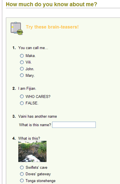 File:Vili Activity Template Problem1.PNG