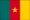 Flag of Cameroon